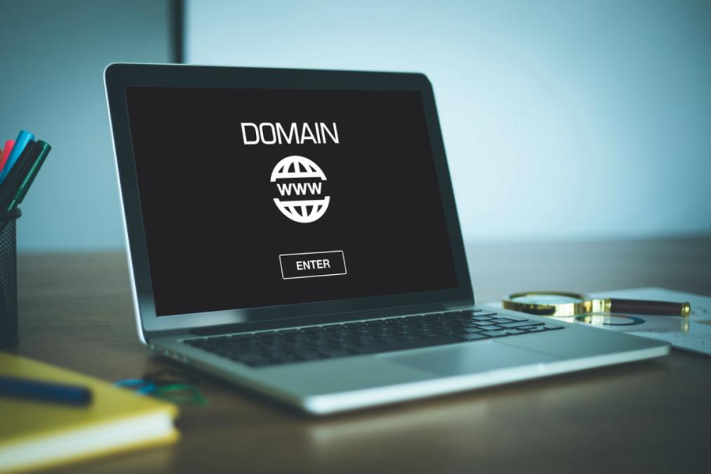 How Much Does Vest Domain Name Privacy Cost?