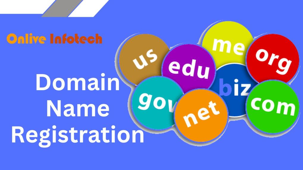 What is Vests Domain Name Registration and How Does it Work?